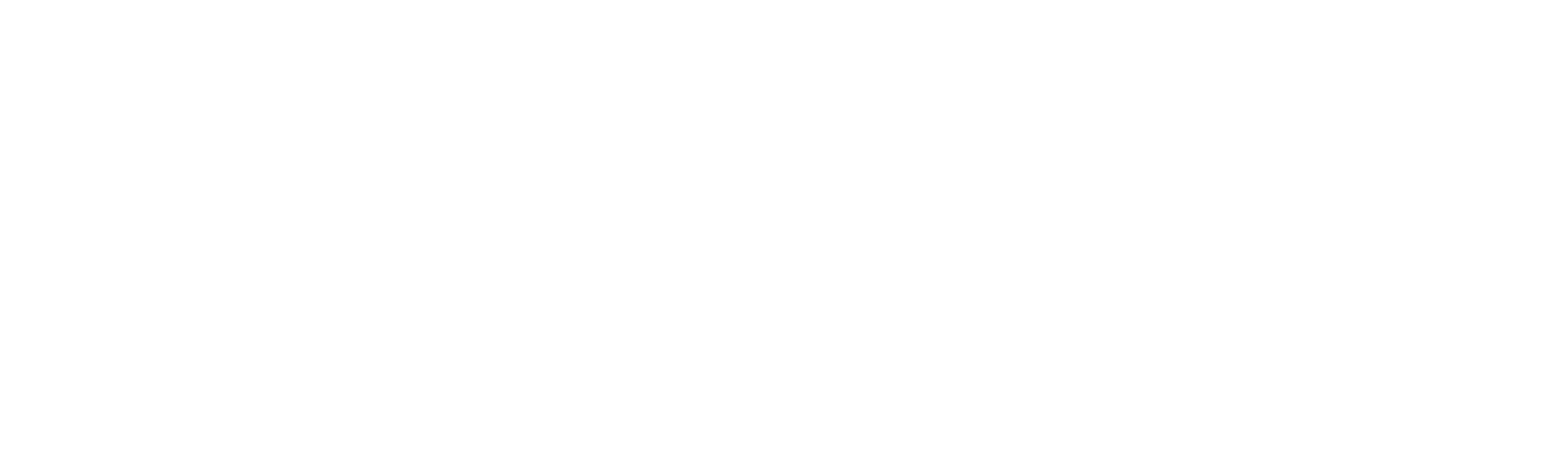 Astrix Store